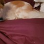 20190821_074807