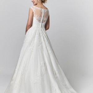 Ivy Rose Back of dress Ivy Rose Back of dress
