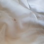 20191031_142628