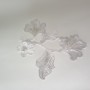 20191116_124314 20191116_124314