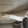 dress 1 dress 1