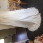 IMG_1236 IMG_1236