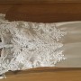 IMG_6321 IMG_6321