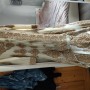 IMG_20210507_112832