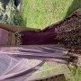 IMG_7744 IMG_7744
