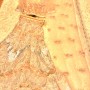 IMG_3943 IMG_3943